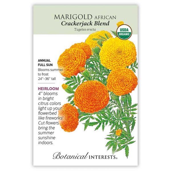 Crackerjack African Marigold Seeds For Cheap - Image 3