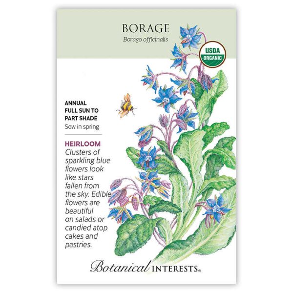 Borage Seeds Fashion - Image 3