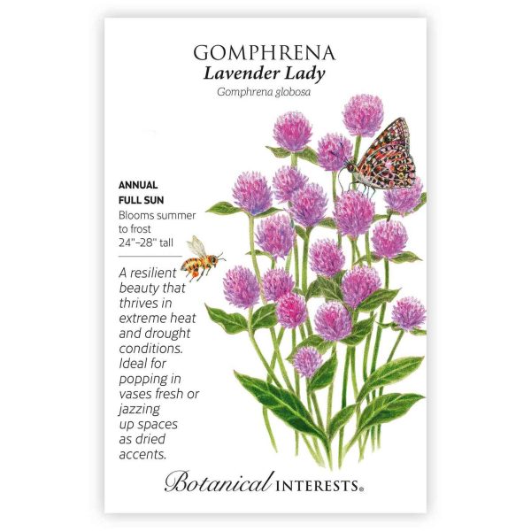 Lavender Lady Gomphrena Seeds For Discount - Image 3