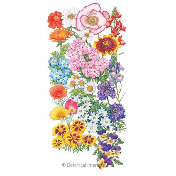 Three-Season Bloom Flower Mix Seeds For Discount