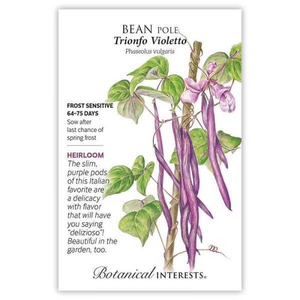 Trionfo Violetto Pole Bean Seeds on Sale - Image 3