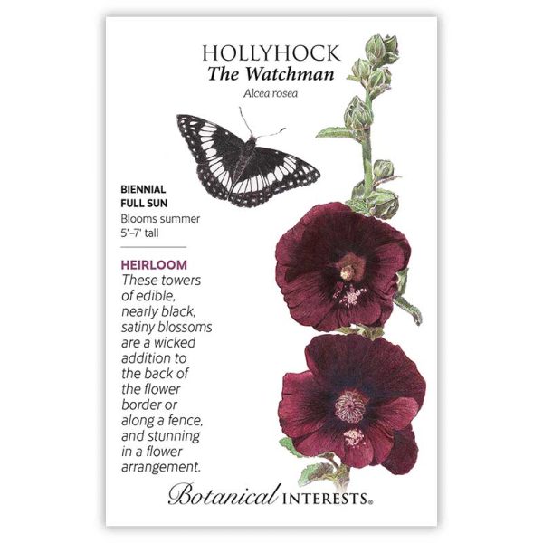 The Watchman Hollyhock Seeds Discount - Image 3